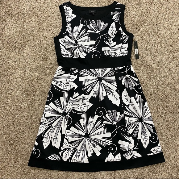 Tahari ASL Ladies Size 14 NWT Black/White Sleeveless Dress - Picture 1 of 10